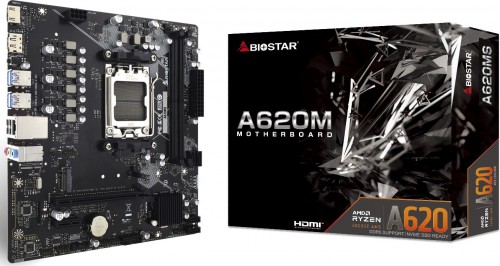 Biostar A620MS