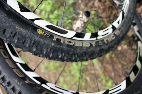 Schwalbe Nobby Nic Evolution Folding