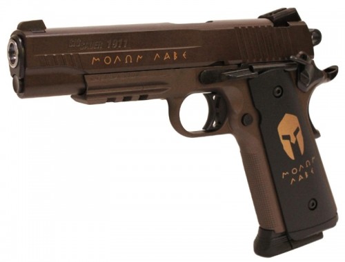 Sig Sauer 1911 Spartan