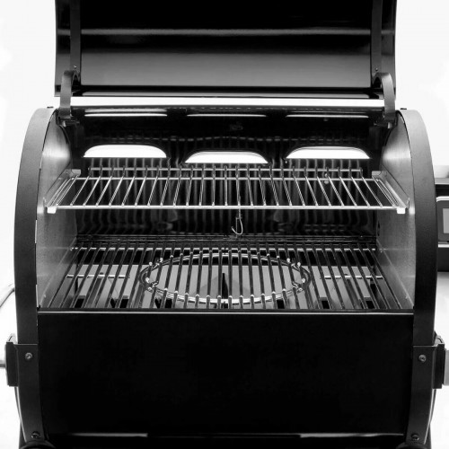 Weber SmokeFire EX4 GBS