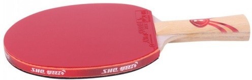 DHS Gold Medal Ma Long 01