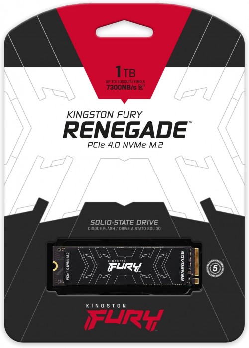 Kingston Fury SFYRS/1000G