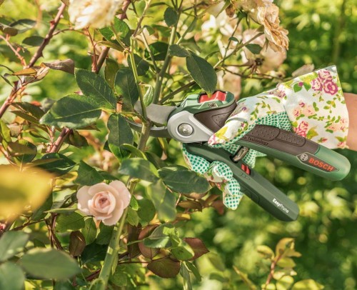 Bosch EasyPrune (06008B2000)