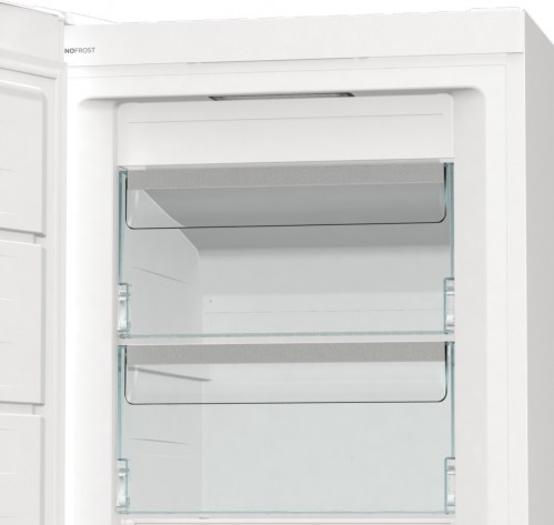 Gorenje FNP 619 EAW6L