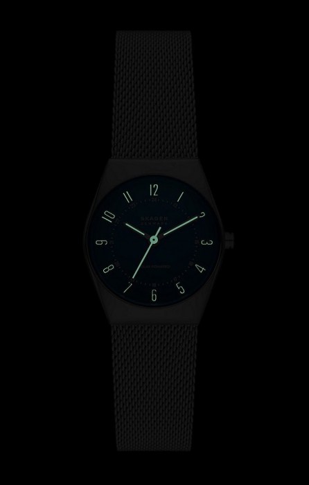 Skagen SKW3080