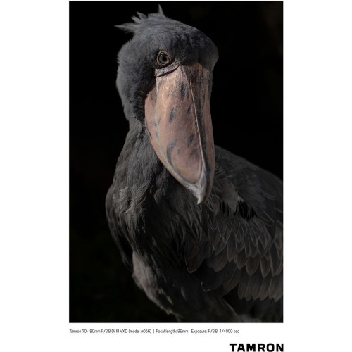 Tamron 70-180mm f/2.8 SP VXD Di III