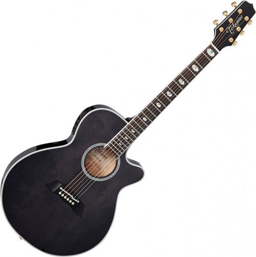 Takamine TSP158C