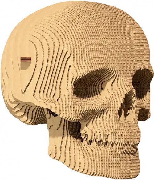 Сartonic Skull