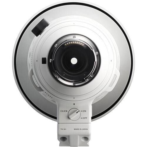 Sigma 300-600mm f/4.0 Sports OS DG