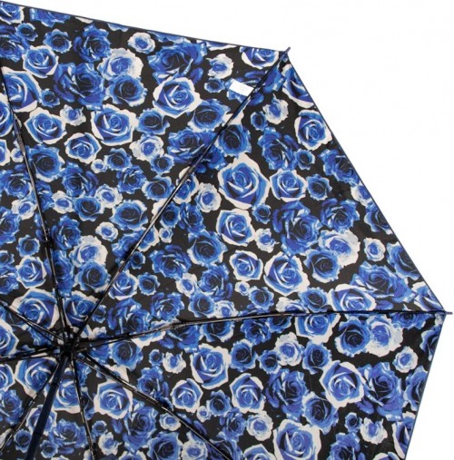 Fulton Mini Invertor-2