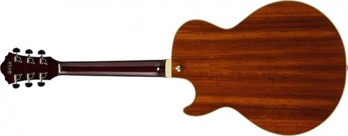 Ibanez AG95K