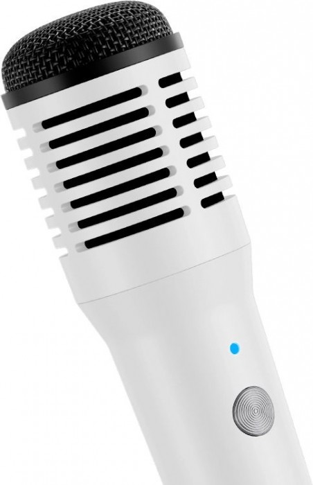 Takstar HM-300W