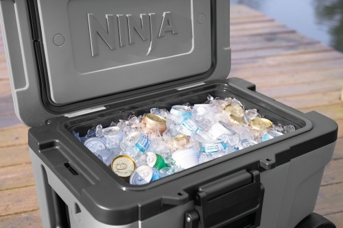 Ninja FrostVault 42L