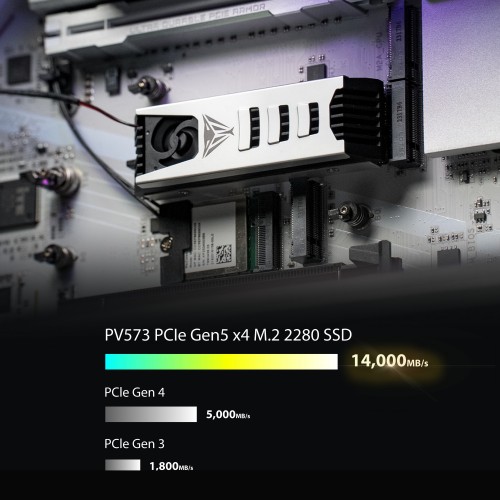 Patriot Memory PV573P2TBM28H