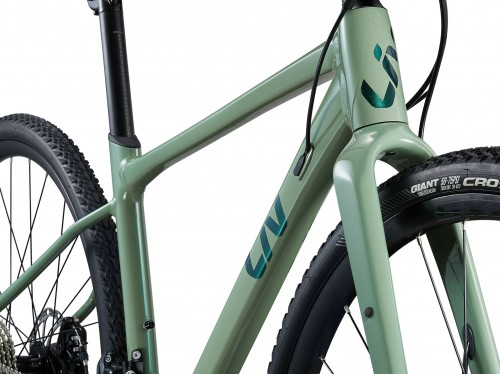 Giant Liv Devote 2 2025 frame XS