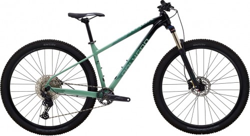 Polygon Xtrada 6 29 2023 frame M