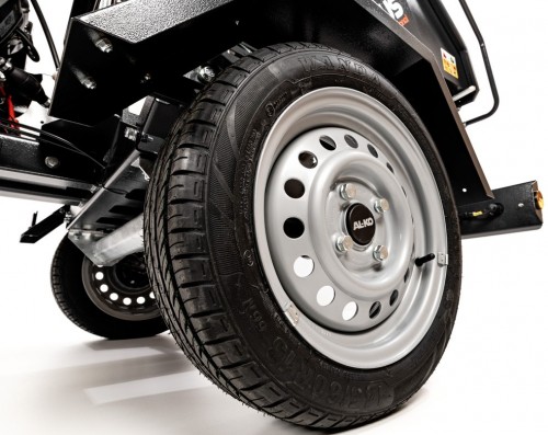 Cedrus RBR13