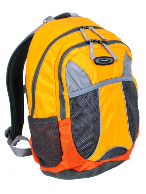 One Polar 1513