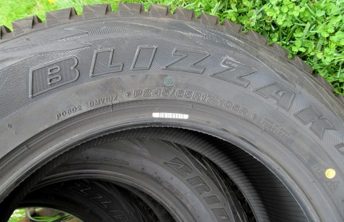 Bridgestone Blizzak DM-V1