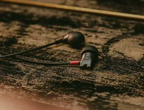 Sennheiser IE 800s