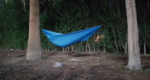 Highlander Leleka Pixy