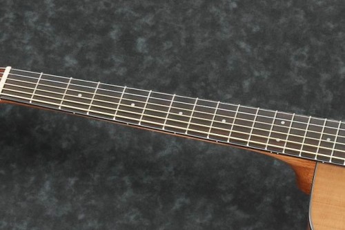 Ibanez AW5412CE