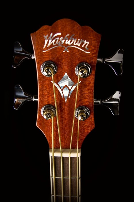 Washburn AB5