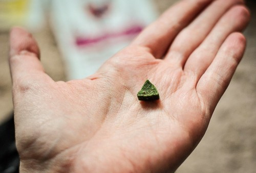 CANVIT Urinary 0.1 kg