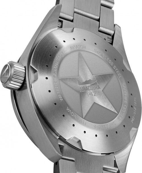 Aviator Airacobra P42 V.1.22.0.190.5