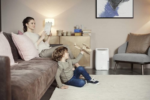 De'Longhi Tasciugo AriaDry DEX210