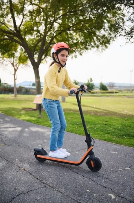 Ninebot eKickScooter C2