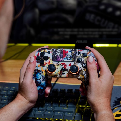 FR-TEC PS4 DC Gamepad Batman