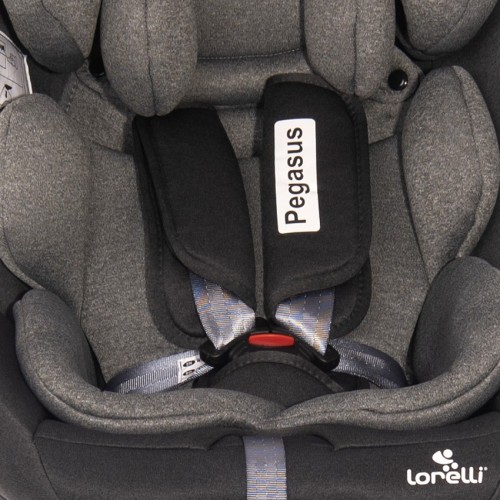 Lorelli Pegasus Isofix