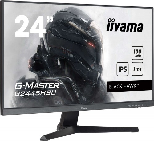 Iiyama G-Master G2445HSU-B2