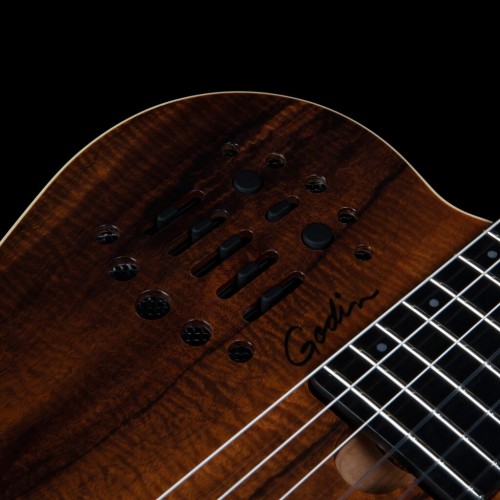 Godin ACS Nylon KOA Extreme HG