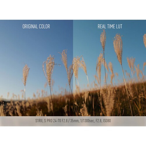 Panasonic Lumix DC-S1R II kit