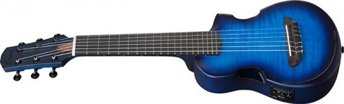 Ibanez AUP10FMNE