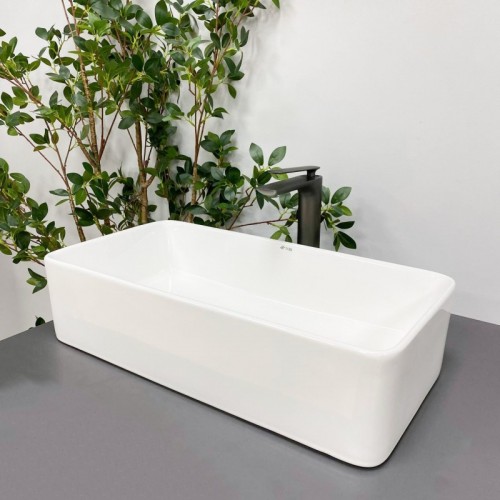 VBI Paterno 605 VBI-012609