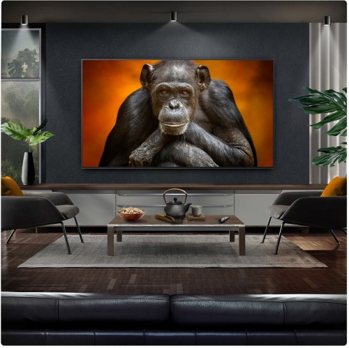 LG OLED65G5