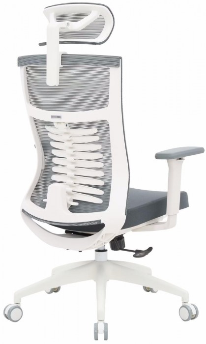 OfficePro Balance OC550