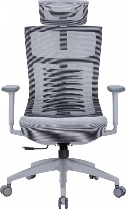 OfficePro Balance OC620