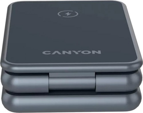 Canyon CNS-WCS309M