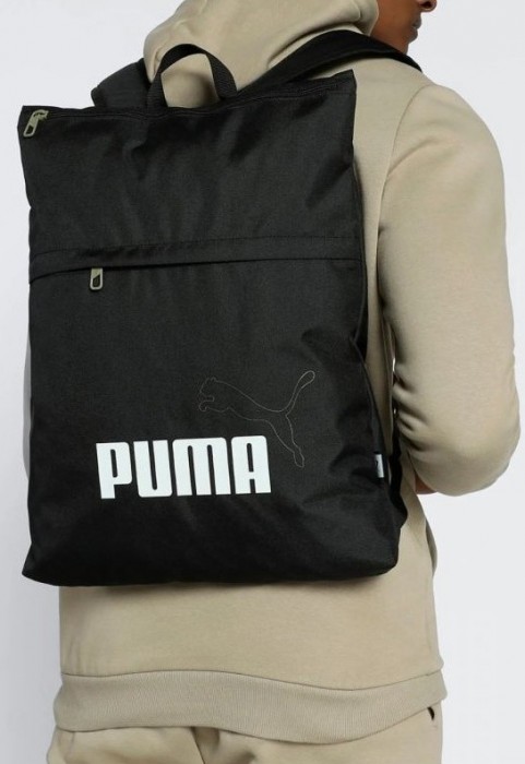 Puma Phase Elemental