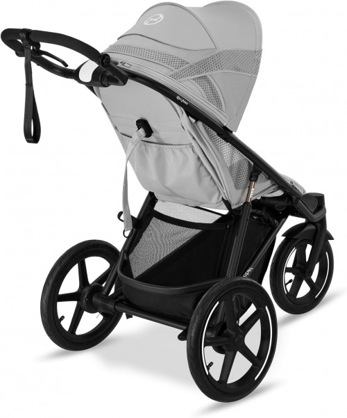 Cybex Avi Spin