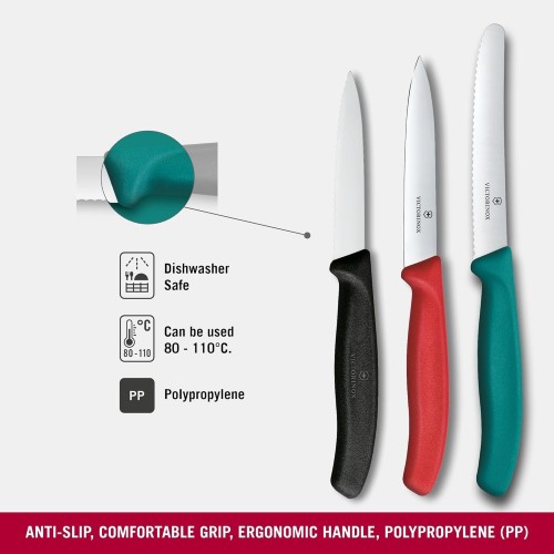 Victorinox Swiss Classic 6.7116.34C1
