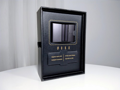 Fiil CC Pro 2