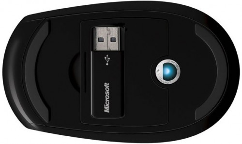 Нижняя сторона