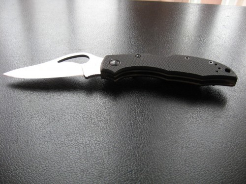 Spyderco Byrd Meadowlark FRN