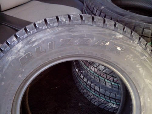 Bridgestone Blizzak DM-V1