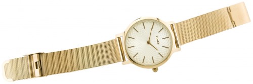 Timex TW2R36100
